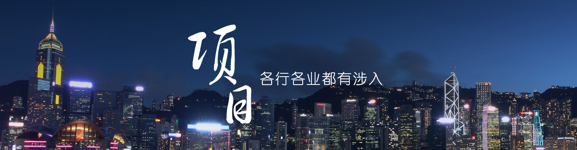 项目欣赏